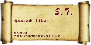 Spacsek Tibor névjegykártya